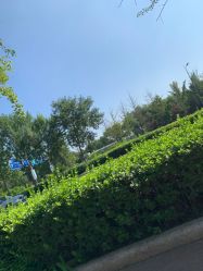 -HEYAN长风荷妍专业脱毛美肤
