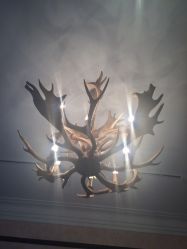 -素颜秀·纹眉·野生眉·纹唇半永久