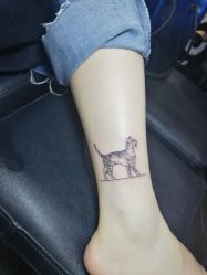 -刺客纹画纹身·洗纹身·穿孔饰品