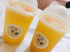 -Husky Go! 哈士奇体验馆·宠物咖啡厅狗咖