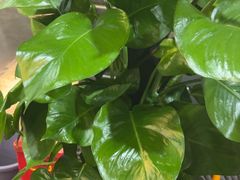 -徐鼎盛民间菜(上筑店)