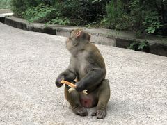 -北京上方山国家森林公园