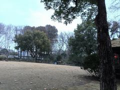 -上海醉白池公园