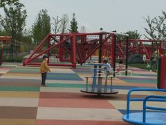 -春花秋色城市公园