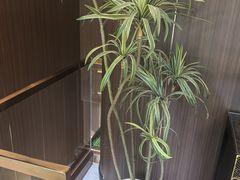 -正清和·推拿养生(二七广场店)