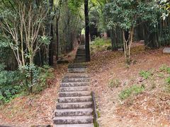 -潜山国家森林公园