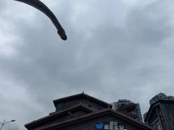 -恐龙探索乐园(磁器口店)