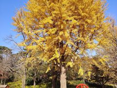 -香山公园-东宫门售票处