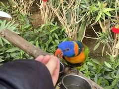 -南宫五洲植物乐园