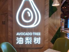 -油梨树AVOCADO TREE(嘉里中心店)