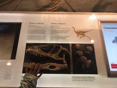 -墨尔本博物馆(Melbourne Museum)