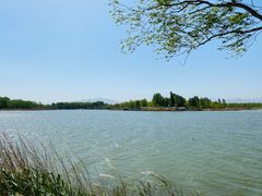 -野鸭湖国家湿地公园