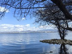 -洱海月湿地公园