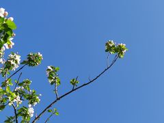 -海棠花溪(元大都城垣遗址公园)