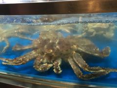 -盒马鲜生(杭州运河上街店)