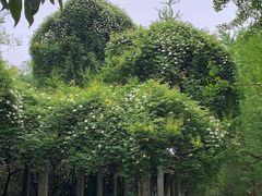 -黔灵山公园