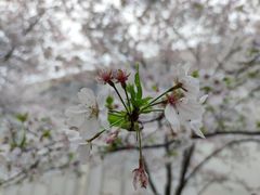 -龙美术馆(西岸馆)