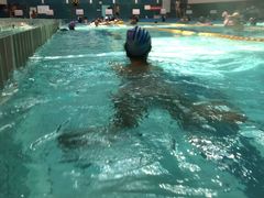 -重庆市奥林匹克体育中心-游泳跳水馆