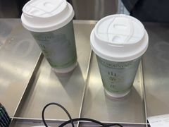 -雾与山茶(大禹城店)