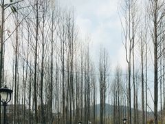 -石塘人家