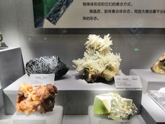 -湖南省地质博物馆