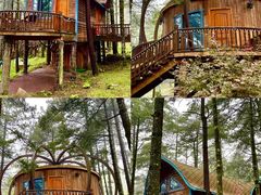 -洛阳白云山景区