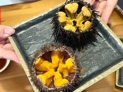 -海胆小馆(东北水饺·春柳店)