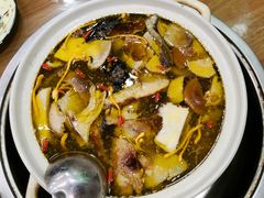-杨记山珍鸡煲菌汤锅