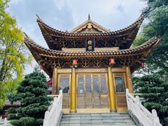 -上海东林寺(金山区)