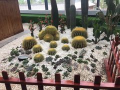 -太白山御龙湾温泉