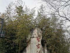 -习家池