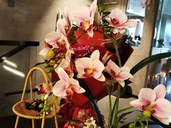 -施奈儿.洗头頭療.按摩SPA.采耳(上梅林店)