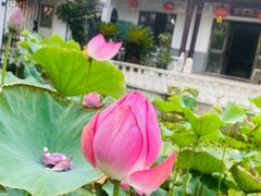-龚家花园农家乐休闲别墅