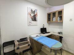 -艾贝尔宠物医院·24H转诊中心·肿瘤猫专科(江宁双龙店)