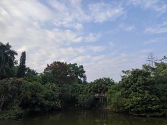 -滴水岩森林公园