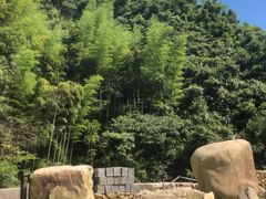 -将军关探险漂流