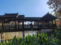-枫桥景区