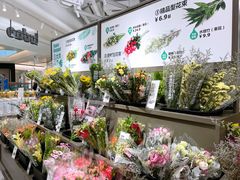 -鹿岛生活(熙地港店)