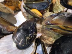 -宾朋海鲜特色美食餐厅·纯手工鲅鱼水饺(兴海路店)