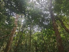 -七仙岭温泉国家森林公园