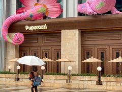 -帕帕拉兹宠物(亚洲旗舰店)