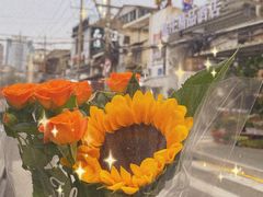 -溪岸路花鸟市场