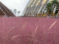 -中国天府农业博览园