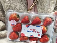 大草莓-果呀呀(国金街店)