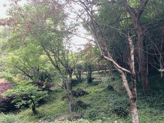 -南京市江宁方山
