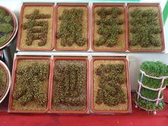 iphone_upload_pic-永和红旗美食城