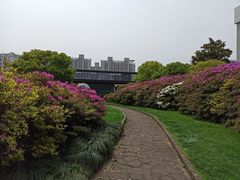 -长阳创谷