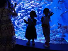 -成都浩海立方海洋公园