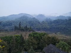 -雅安楠水阁温泉酒店