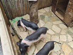 -HERRE·FARM 赫尔露营农场·团建聚会包场